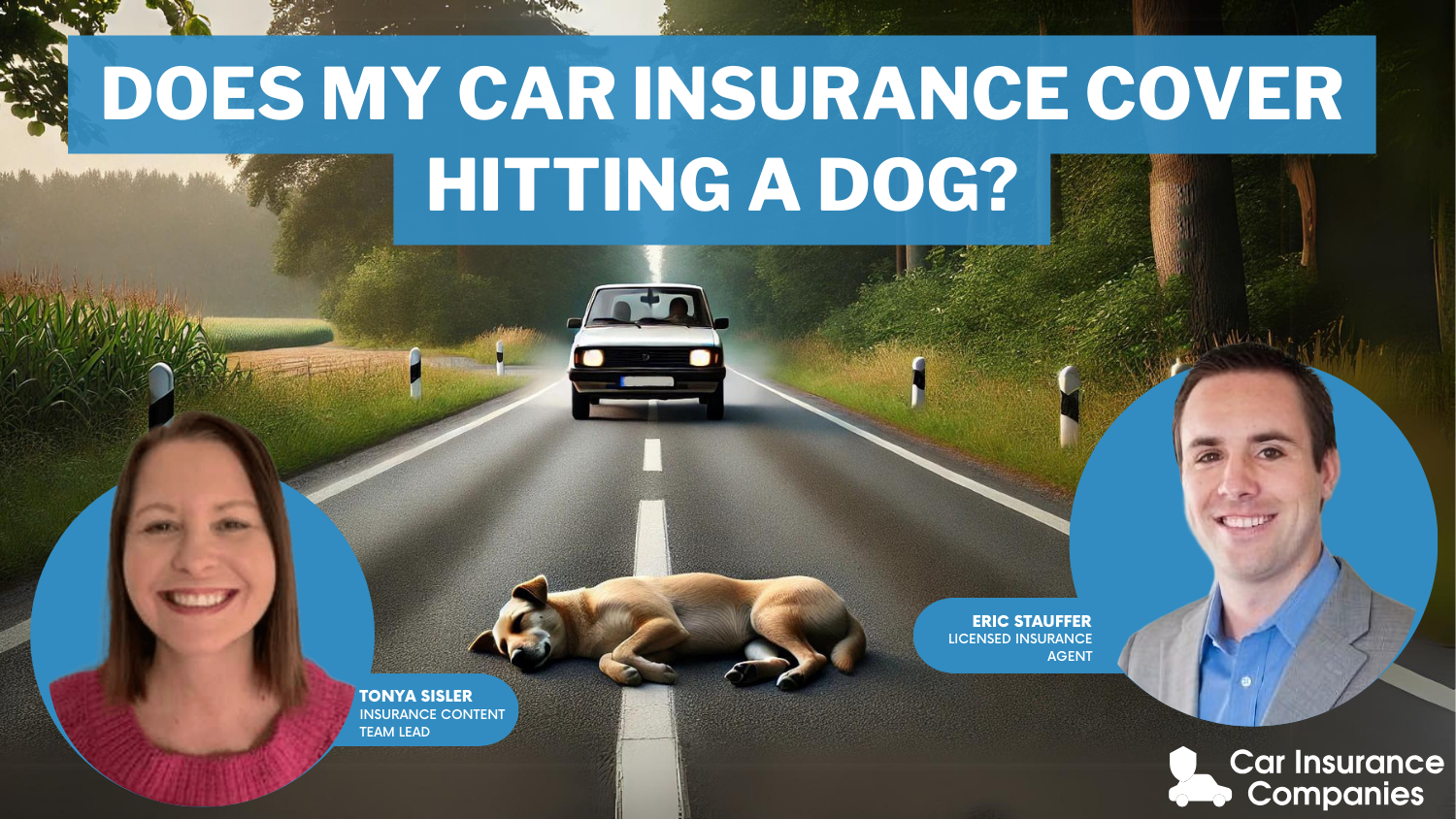 Does my car insurance cover hitting a dog?